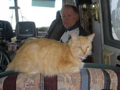 news-matt-lucas-and-cat