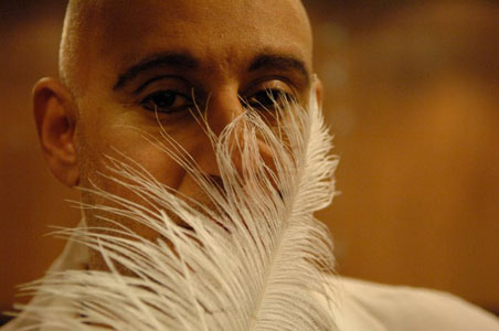 quite a gay picture with feathers