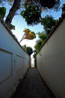 small-lane-towards-the-beach