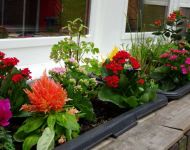 HAPPY HOUSE entrance 2015-w800-h600
