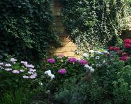 garden-2.-2009