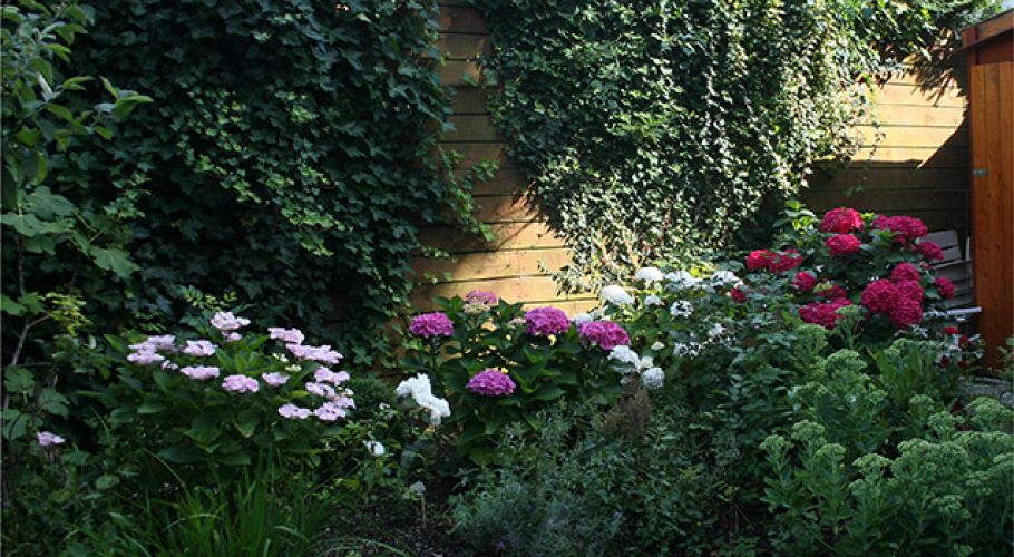 garden-2.-2009